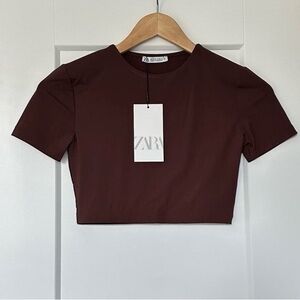 Zara Women's Brown Crop Top